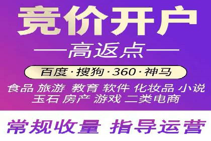 竞价推广SEM托管实战案例分析